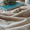 丹杰 秋冬毛毯加厚双层保暖不掉毛单人双人毯毛毯加大 法兰绒毛毯 毯子珊瑚绒空调毯纯色素色简约风 蓝色 1.8*2.0m