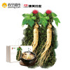 康美新开河鲜人参 35g*2根