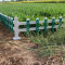 送立柱护栏围栏栅栏户外铁艺不锈钢庭院绿化带草坪篱笆栏PVC护栏 30CM高/米