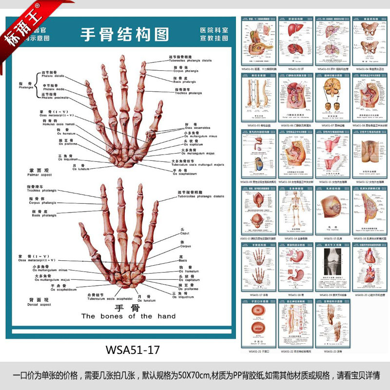 手结构图解,手相,原子示意图_大山谷图库