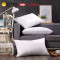 红豆舒眠枕48*74cm 48*74cm 舒眠枕-A款