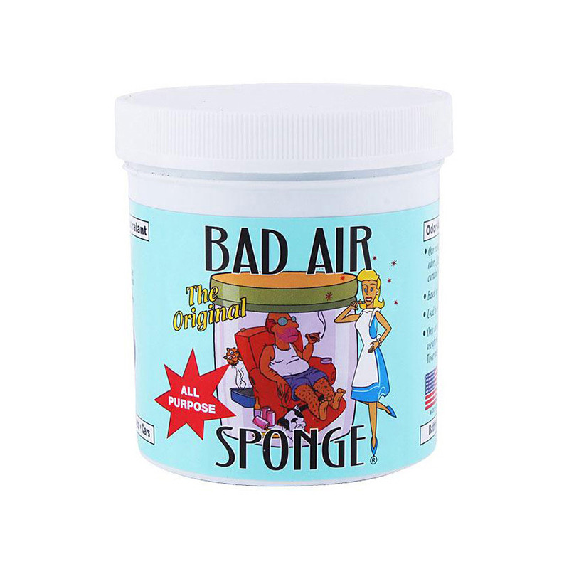 Bad Air Sponge百德 美国原装进口 天然矿物质空气清新剂 有香味 新车新房客厅门厅过道清除甲醛异味 400g