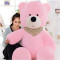 中天乐布娃娃超大号毛绒玩具泰迪熊抱抱熊大熊公仔生日礼物女 直角2米会说love 紫色泰迪熊