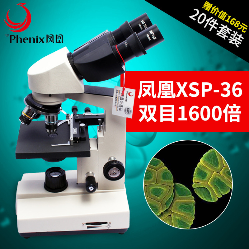 凤凰（Phenix） 生物显微镜专业 双目XSP-36 1600高倍 学生家用养殖 XSP-36+20件套+手机支架+手机支架+接电视520线