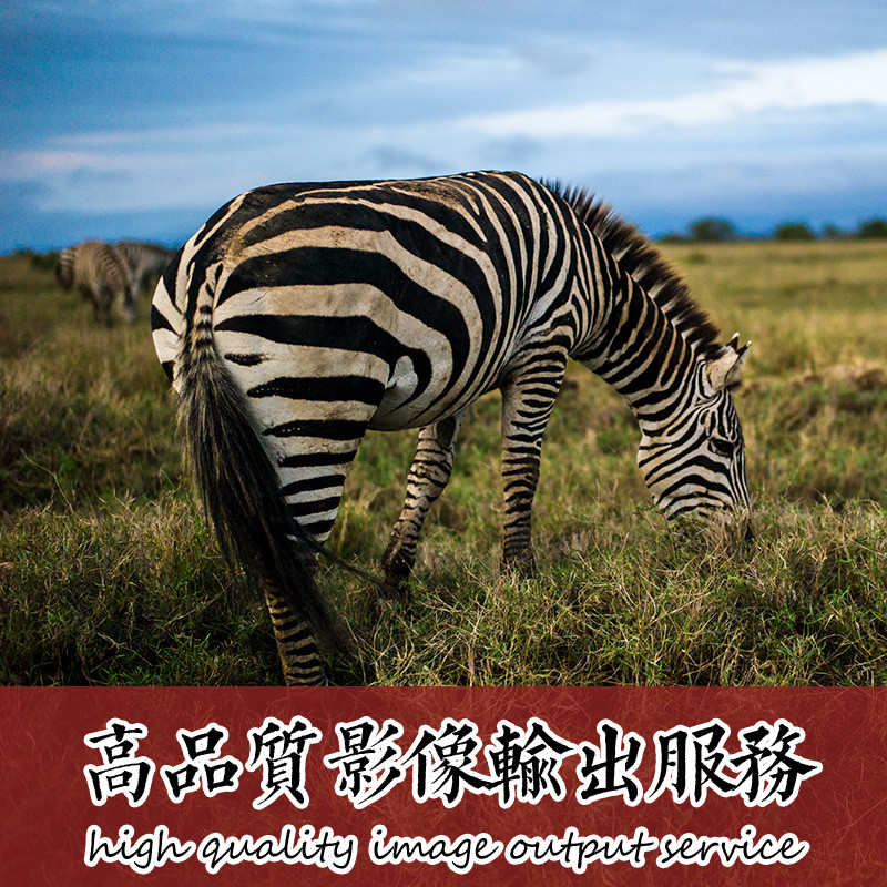 Fantac泛太克 艺术微喷照片打印彩扩 非普通冲印 展览级哑光 14寸（35.6×25.4cm）5张套装 （3C配件）