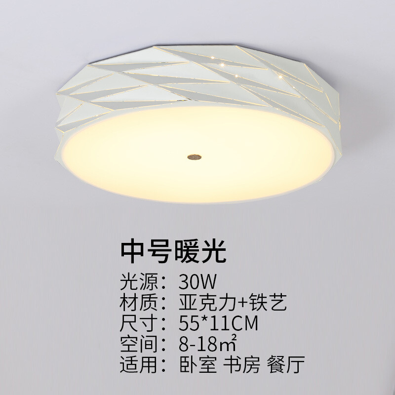 吸顶灯家用几何个性遥控房间灯节能韩式书房艺术顶灯圆形卧室灯 55CM-暖光-30W