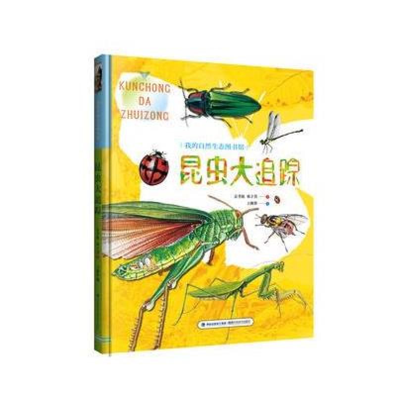 昆虫大追踪(我的自然生态图书馆)