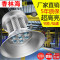 洋子（YangZi）LED工矿灯室内篮球场羽毛球馆乒乓球照明灯游泳馆体育馆专用吊灯_1 250W正白光(进口LED芯片)