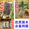 洋子（YangZi）无纺布花盆加厚育苗袋营养袋营养杯育苗杯营养钵植树袋定制_3 8x10(直径4.4x高7.8)五百个