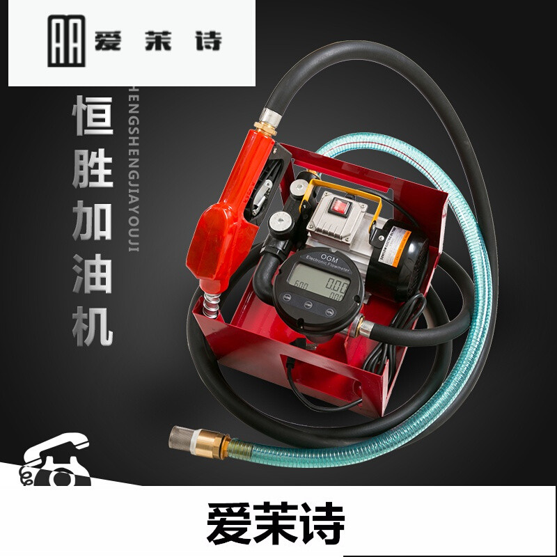 洋子（YangZi）新升级电子计量加油泵总成12V24V220V机械式抽油泵一体自动加油机_1 机械全自动大流量12V标配