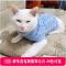 秋冬春宠物狗狗衣服宠物猫咪毛衣吉娃娃猫狗针织毛衣腈纶猫咪毛衣多色多款多功能宠物用品宠物服饰_1 蓝色条纹毛衣