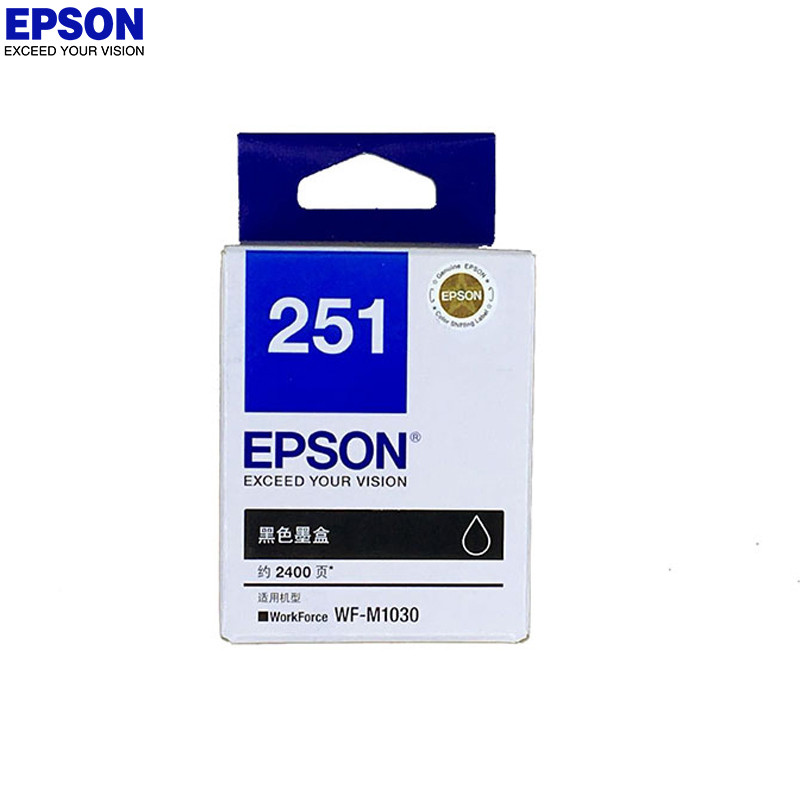 爱普生（EPSON） T251打印机墨盒