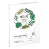 纸上花（国内第一本在纸上刺绣的创意书/一本艺术性与功能性并存的亲子互动书/刺绣上色涂鸦简易DIY）