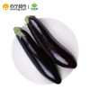 小汤山 长茄子 约400g 新鲜蔬菜