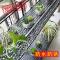 欧式阳台花架双层铁艺栏杆花架悬挂花架室外多层挂式多肉架_7 圆边双层60*25