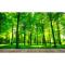 大型3D立体绿色树林电视背景墙纸客厅沙背景墙壁纸卧室风景_5 高档进口油画布（整幅）