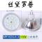 12vled灯杯220v插脚射灯mr11led灯杯12v暖白光替换卤素灯MR16(GU5._6 MR16(GU5.3)110V面径50MM加罩