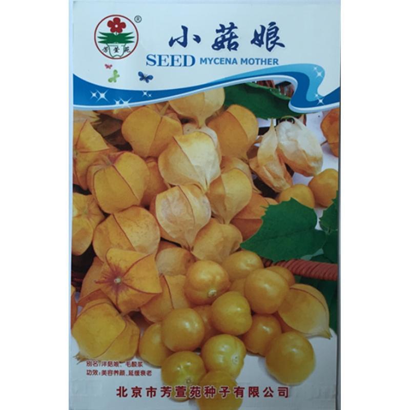 阳台盆栽花卉种子小姑娘黄姑娘黄金果东北特产水果种子_8 小菇娘约50粒