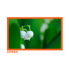 经科JK画框投影幕布投影机投影仪小边框N4-AT/W1透声白幕120寸4:3