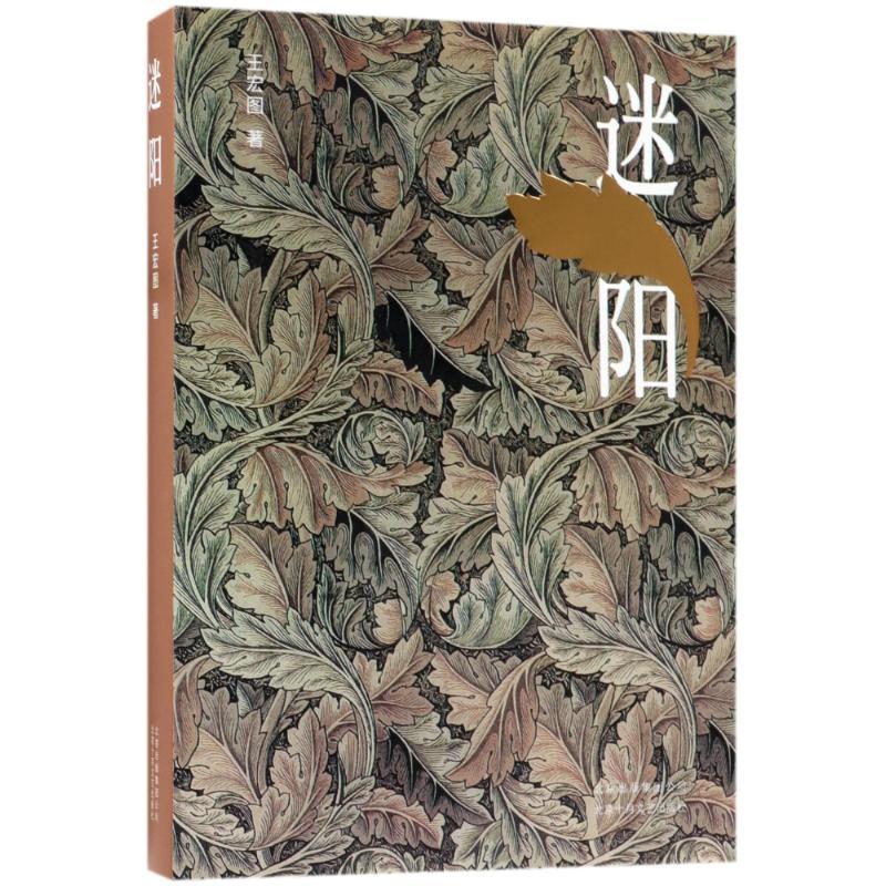 迷阳/王宏图的作品