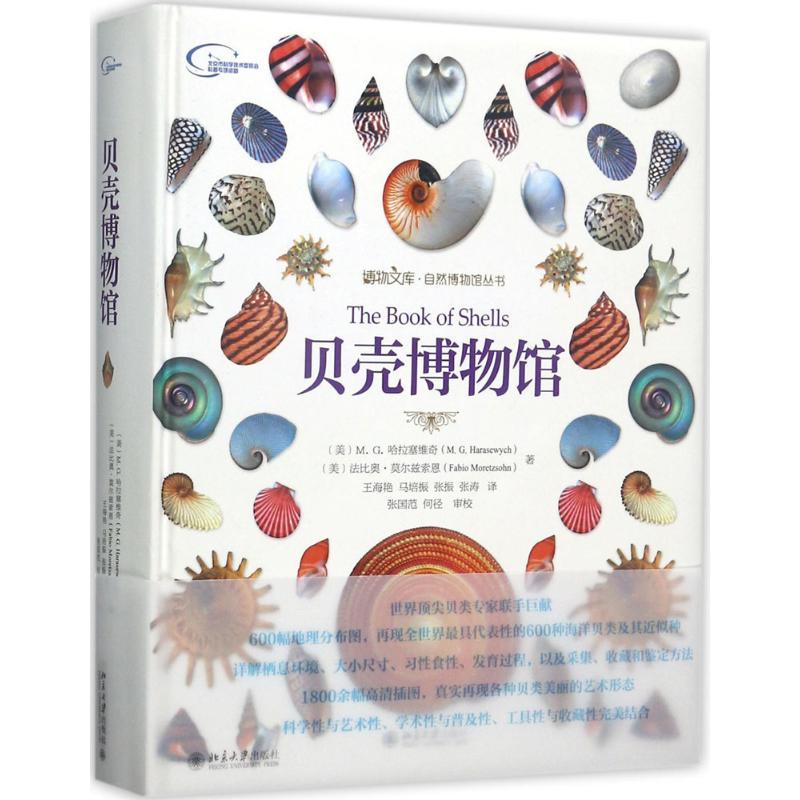 贝壳博物馆