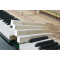 公爵钢琴126M4 教学用琴 启蒙系列 家庭用琴 up126 白色