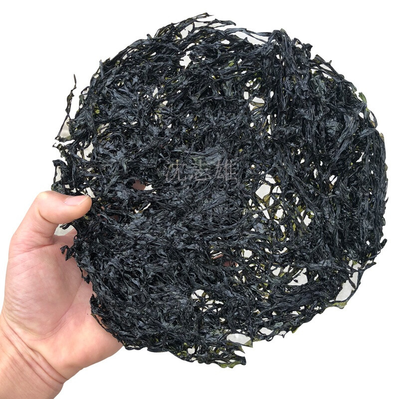 沈志雄东山岛海鲜头水紫菜干品礼盒包装500g