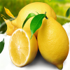 黄柠檬 四川鲜柠檬 酸甜多汁 皮薄黄柠檬 新鲜水果 0.5KG