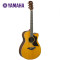 雅马哈Yamaha A1M/AC1M /A1R/AC1R 41寸单板缺角电箱民谣木吉他 AC3RVN-全单-复古色（电箱款）
