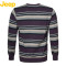 JEEP/吉普男士美式休闲修身版圆领条纹长袖针织衫 JW15KS108 160/95 紫色Q6