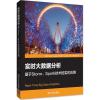 实时大数据分析