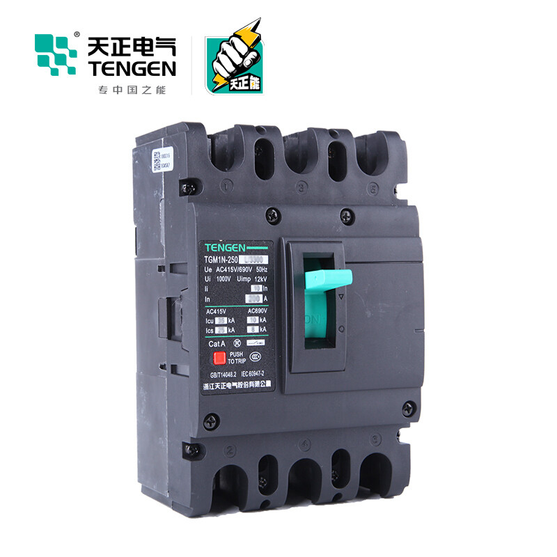 天正电气 TGM1N-250L 35KA 热磁式 160A 3P 手动固定式380V 330021700102塑壳断路器