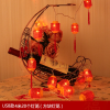 LED彩灯闪灯串灯水晶小红灯笼串满天星防水星星灯中秋装饰灯 默认尺寸 USB款带遥控-4米20灯（方块灯笼）