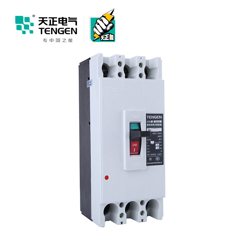 天正电气 DZ20Y-100 18KA 热磁式 100A 3P 手动固定式400VAC 01040040656塑壳断路器