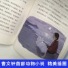 疯狗浪 曹文轩系列书国际安徒生奖草房子青铜葵花作者儿童文学书籍7-9-10-11-12-13-14岁三四五六七八年级