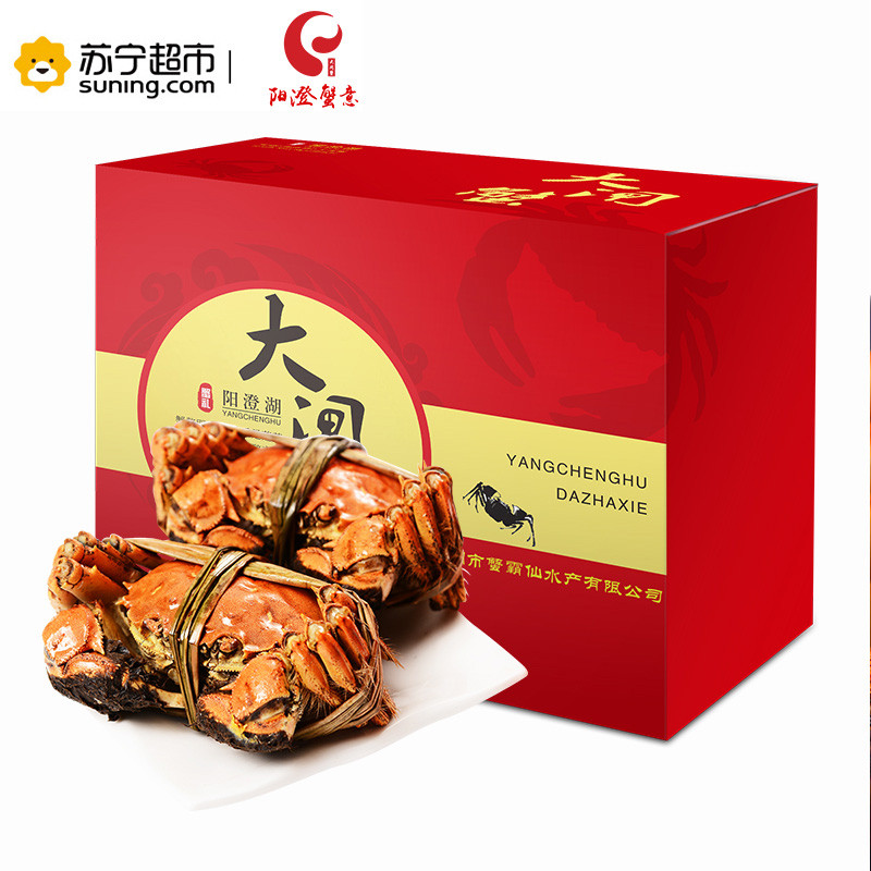 【现货】 阳澄湖 阳澄蟹意 大闸蟹现货 公4.2-3.8两 母3.2-2.8两 5对装 现货礼盒