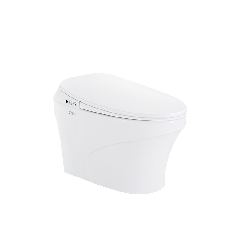 Loire卢埃尔 智能坐便器B811 305MM B811智能坐便器