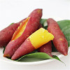 黄河滩板栗红薯 2.5kg 板栗红薯 板栗薯 粉嫩香甜 新鲜蔬菜