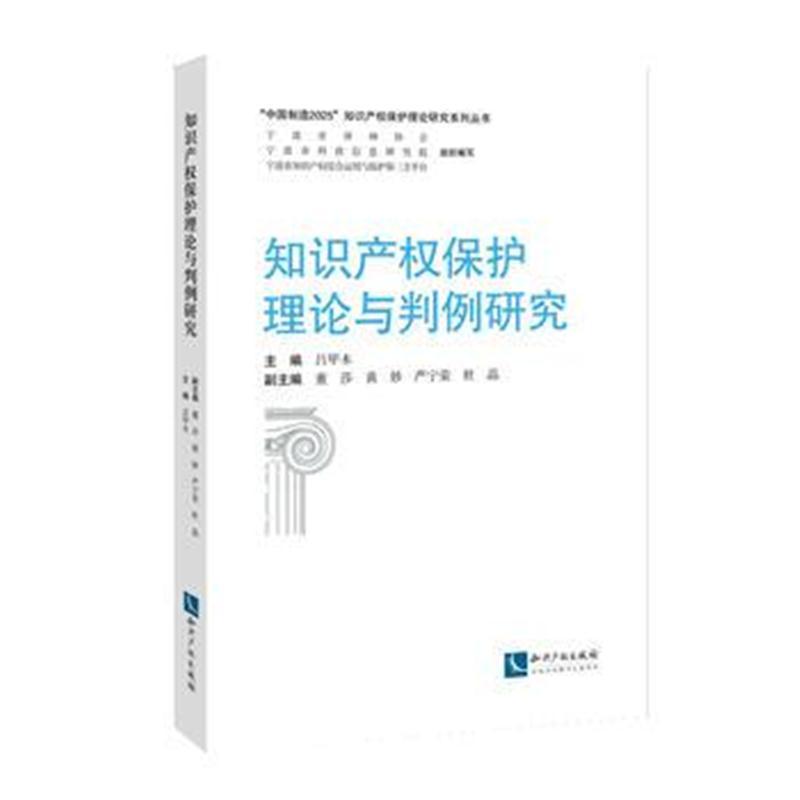 知识产权保护理论与判例研究