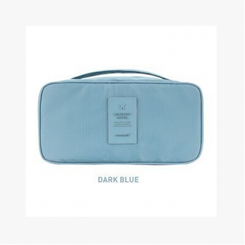 内衣收纳整理收纳袋衣服储物韩版便携旅行文胸包内裤防尘分格盒 二代-天蓝