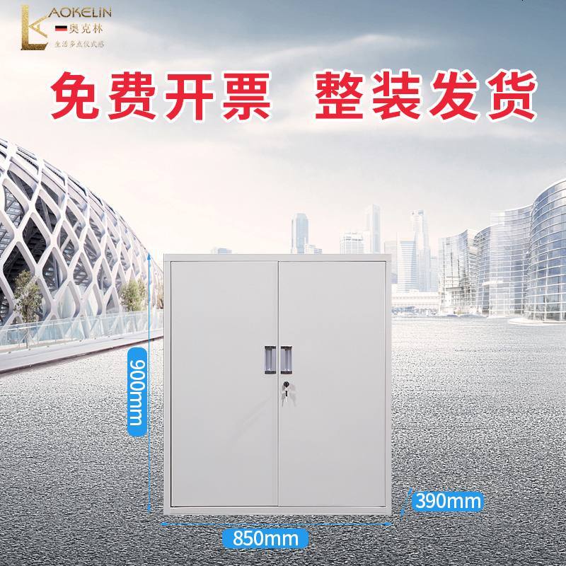 加厚a4文件柜铁皮柜书柜储物柜带锁档案柜资料凭证柜子包邮_424_256 铁_对开矮柜_0.7mm