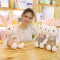 毛绒玩具兔子公仔 小白兔布娃娃可爱玩偶抱枕送女孩生日儿童节礼物 玩具毛绒玩偶 50厘米 粉色裙子款兔子