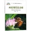 画说现代化养蜂