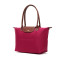 Longchamp 珑骧 女士LE PLIAGE系列织物中号长柄可折叠手提单肩包 2605 089 P16-无花果色