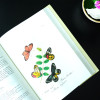 寰宇文献 中国昆虫志 印度昆虫志 Natural history of the insects of China I