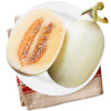 海南东方蜜瓜 2个装 单果重量约400-600g 新鲜水果