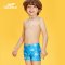 号手儿童平角泳裤男童泳衣中大童游泳裤宝宝可爱童趣3-12温泉泳装_1 6【体重16-20kg，具体可咨询客服】 浅蓝海豚