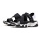 【自营】Skechers斯凯奇女凉鞋D‘lites时尚一字扣熊猫鞋88888181 88888181/BKW黑色+白色 35码