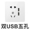 德力西(DELIXI)开关插座面板 电源插座CD821 白系列 其他86型插座面板 五孔插座套装 CD821白 CD821白 双USB五孔