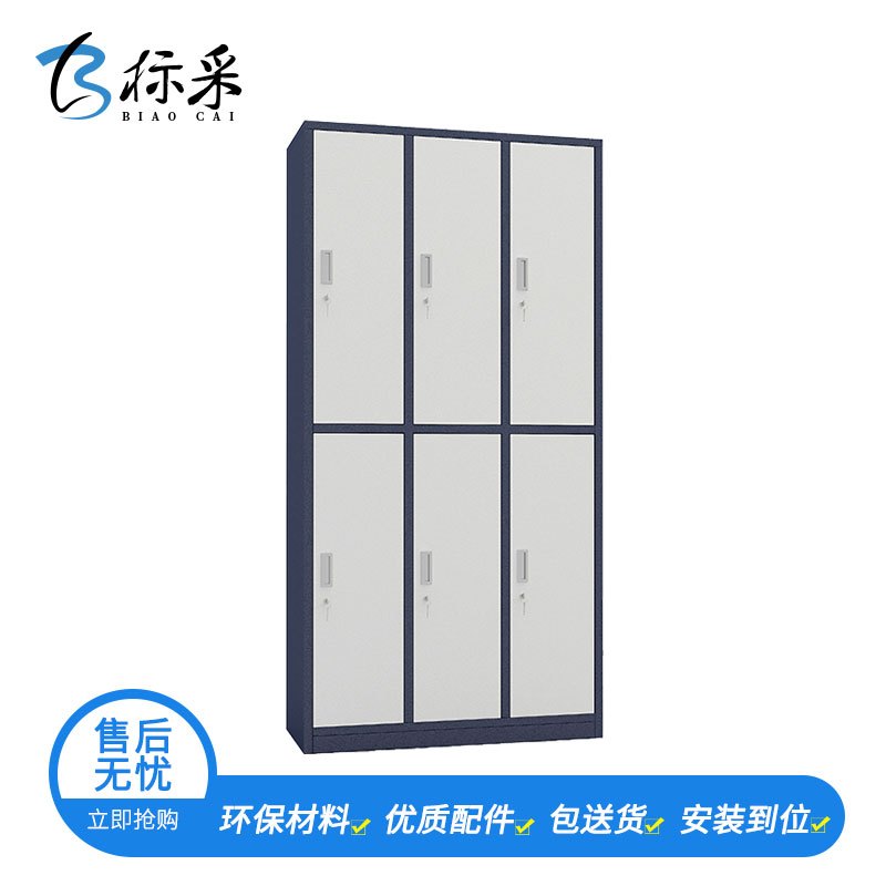 【标采】铁皮文件柜 钢制更衣柜 拆装六门更衣柜 员工宿舍更衣柜 简易衣柜 储物柜 900*500*1850（单位：mm）